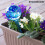 Globos de riego automático - InnovaGoods - Aqua·loon - Pack de 2 - Riego de jardín - Azul 3