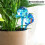Globos de riego automático - InnovaGoods - Aqua·loon - Pack de 2 - Riego de jardín - Azul 1