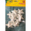 Crayola CRAYOLA-POLY STARS, PACK OF 10 1