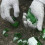 Ranpo (S) Ranpo 1 Pair Cut Resistant Work Gloves HPPE Safety 8