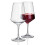 Savoy Polycarbonate Wine Glasses | Red Wine | Plastic Barware 1