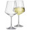 Savoy Polycarbonate Wine Glasses | White Wine Plastic Barware 1