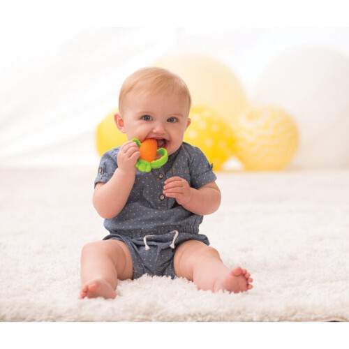 Infantino Testurizzato Carota Teether 2