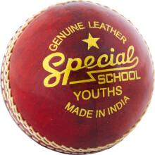 Readers Special School JUNIOR Cricket Ball (2020)