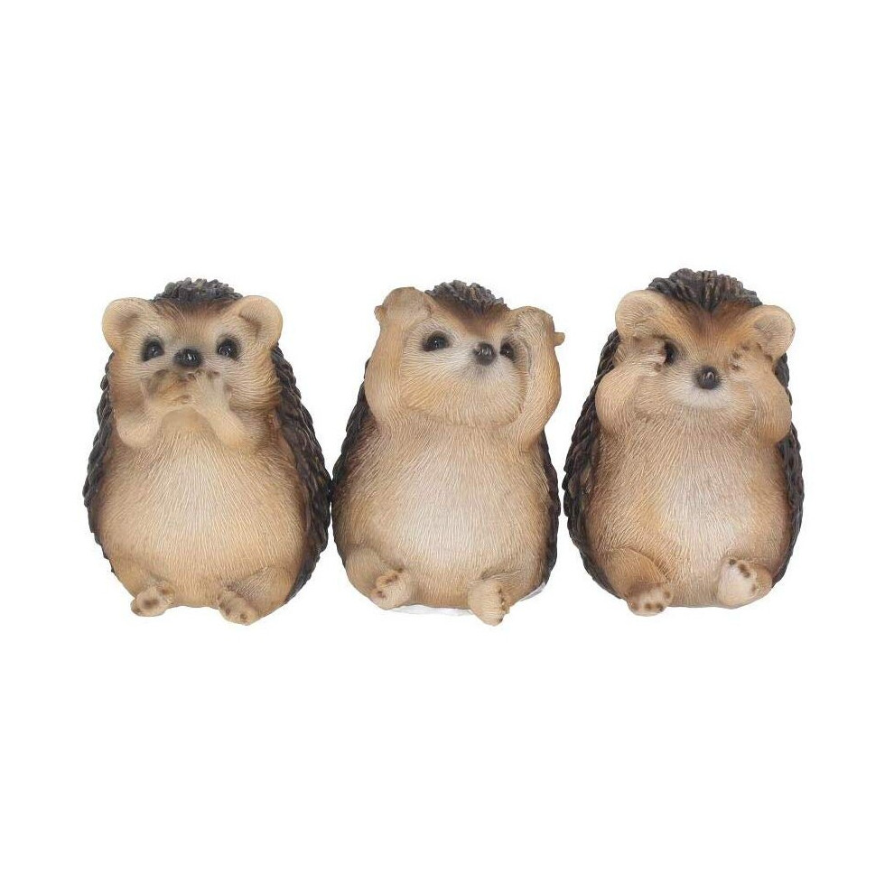 Three Wise Hedgehogs