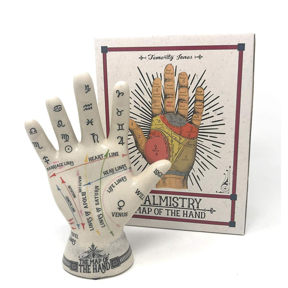 Palmistry Map Of The Hand