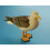 Resin Seagull 7