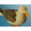 Resin Seagull 8