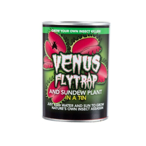 Grow Your Own Venus Fly Trap