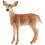 Schleich Schleich 14819 Wildlife White-Tailed Doe 1