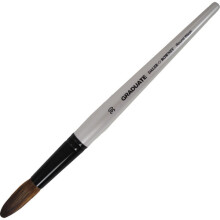 Daler Rowney Graduate Pony & Synthetic Round Wash Brush Size 30