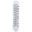 Rapid Rapid Classroom Thermometer 380mm 1