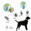 8 Mois de Protection Collier Ajustable pour Chiens Chats Puces et Tiques 8