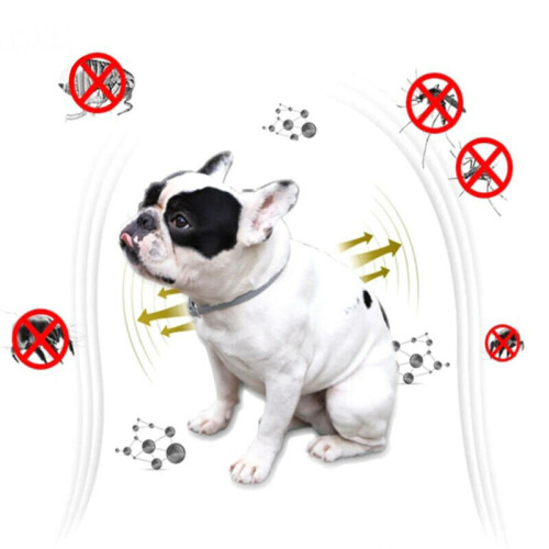 8 Mois de Protection Collier Ajustable pour Chiens Chats Puces et Tiques 2