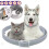 8 Mois de Protection Collier Ajustable pour Chiens Chats Puces et Tiques 2