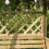Rowlinson Salisbury Arbour 4