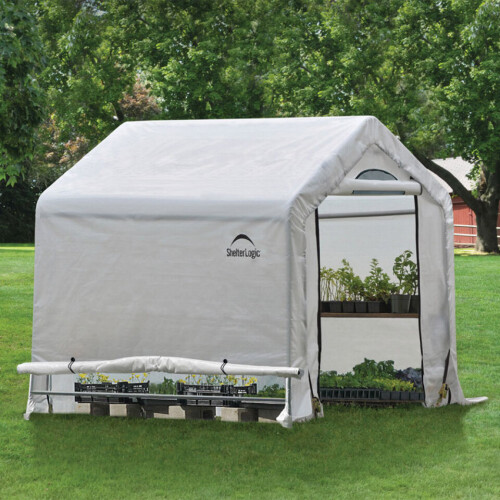 Rowlinson 6x6 Greenhouse in a Box