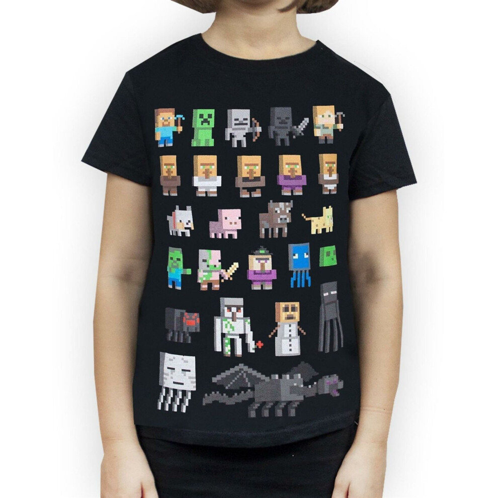 (3-4 Years) Minecraft Sprites Girl's Black Short Sleeve T-Shirt