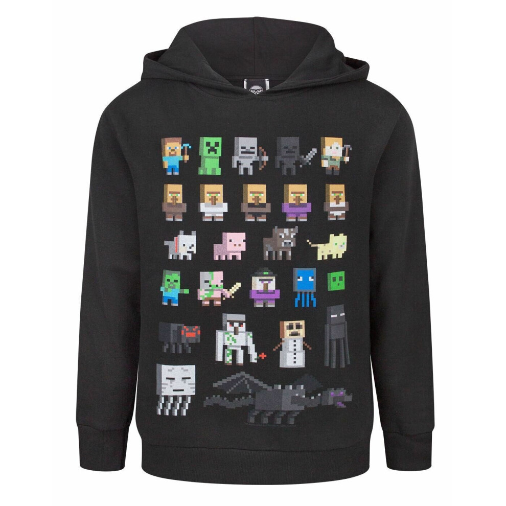 (5-6 Years) Minecraft Sprites Boy's Black Hoodie