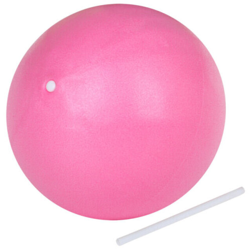 Trixes Pink Pilates Exercise Ball 2