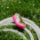 LELO LELO SONA 2 Cruise Clitoral Massager Cerise 6