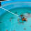 Leaf Skimmer Net & 5 Piece Pole For Spa or Swimming Pool 7