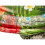 Intex Intex Inflatable Realistic Turtle Ride On 4