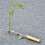 Ranpo Hand Weeder Tool Weeding Weed Remover Puller Tool Fork Lawn 5