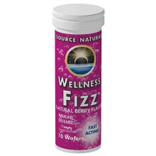 Source Naturals Wellness Fizz Berry Flavor, 10 Ct