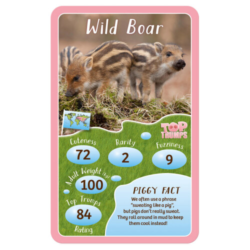 Top Trumps Piglets 1