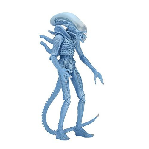 NECA NECA Aliens 7" Scale Serie 11 Blauer Krieger Actionfigur