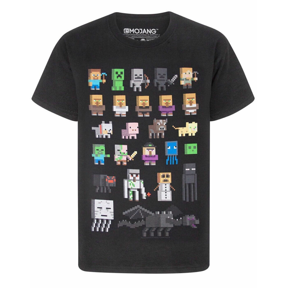 (14-15 Years) Minecraft Sprites Boys Black T-Shirt