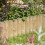 Rowlinson 12" Border Fence 1.0m (Pack of 4) 2