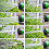 (150ft) Expandable Garden Hose With 7 Functions | Spray Gun 4
