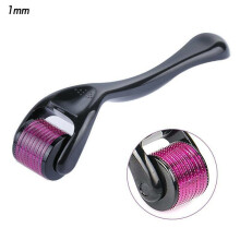 (1.0mm) 540 Titanium Micro Needle Derma Roller For Acne Hair Loss Regeneration Growth