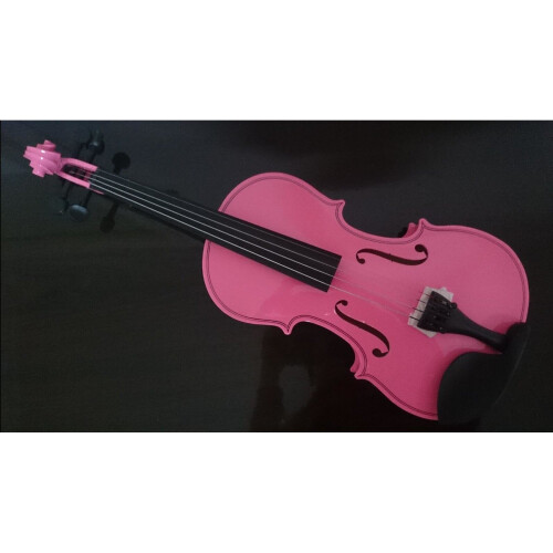 (1/4) Student acoustic violin pink 2