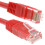 kenable Red Network Ethernet RJ45 Cat-5E UTP PATCH LAN COPPER Cable   0.25m 25cm 1