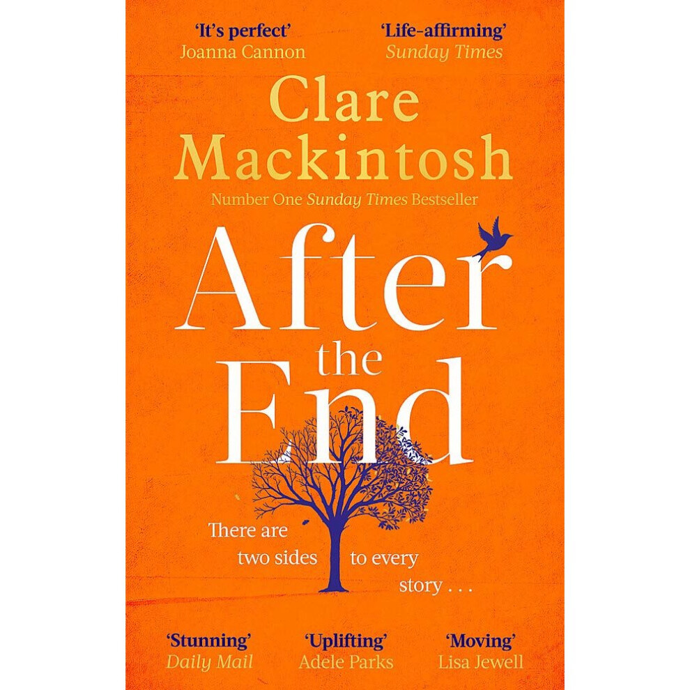 After the End by Clare Mackintosh