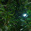 The Christmas Workshop 70660 6ft Green Pre-Lit Christmas Tree 3