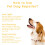 Ranpo Powerful Ultrasonic Dog Repeller Anti Barking Outdoor 8
