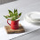 WM Bartleet & Sons 1750 T309 Churn Jug, Red 7