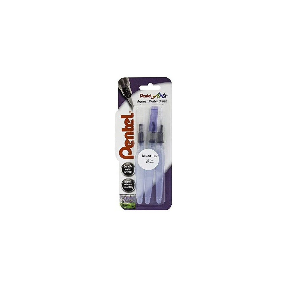 Pentel Fine/Medium Aquash Water Brush (Pack of 3)