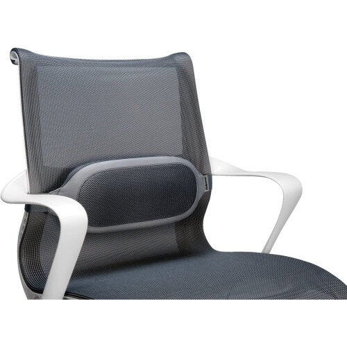 Fellowes Fellowes I, Spire Lumbar Cushion/Back Support for Office Chair 1