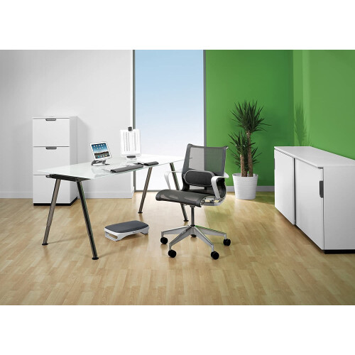 Fellowes Fellowes I, Spire Lumbar Cushion/Back Support for Office Chair 2
