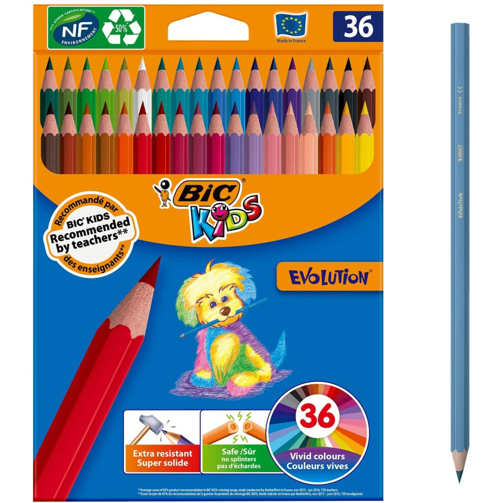 BIC Kids Evolution Colouring Pencils - Assorted Colours, Pack of 36