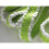 Addis Addis MEGA Mop Strips Refill - Green/White (Refill Only) for Easy Cleaning 2