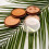 Collection COLLECTION Bronze Glow Matt, Terracotta Number 1 15 g 3