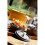 STAUB Cocotte Oval 27cm Black 5