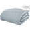 Catherine Lansfield Catherine Lansfield Sequin Cluster Bedspread Duck egg 240x260cm 2