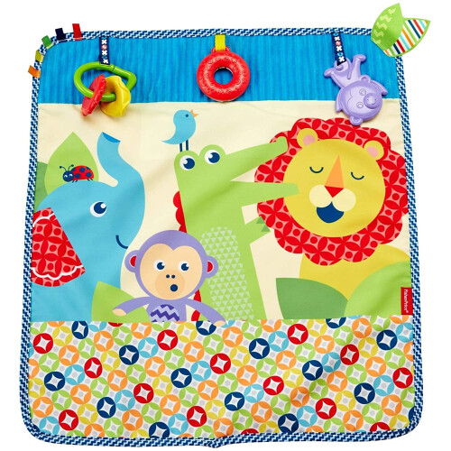 Fisher-Price Fisher-Price On-the-Go Activity Throw